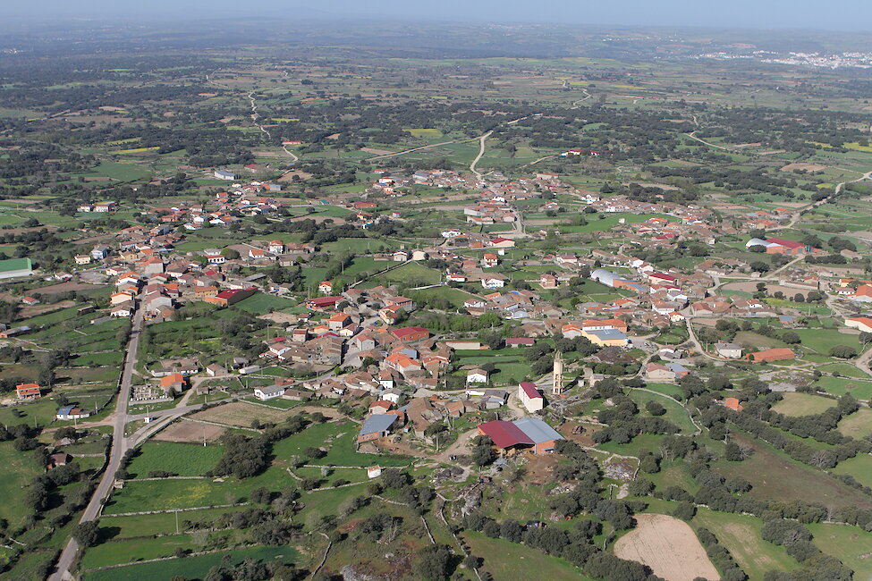 torregamones